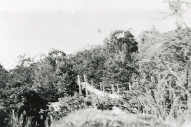 Rectangle black and white photograph of bush scene with part of a suspension rope and wooden plank bridge visible in the middle of the image.