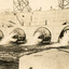 Open valves of a dam showing water flowing into stream of water, background shows scaffolding on wall of dam.