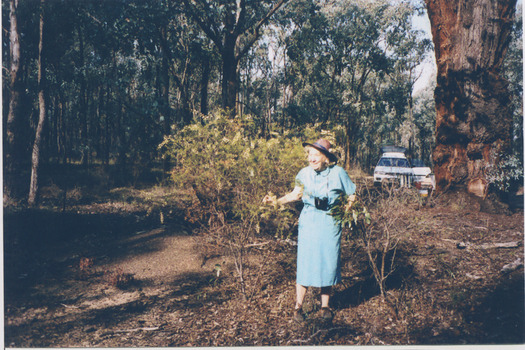 Image of Frances Gladstone for the Jennifer Williams Oral History Project