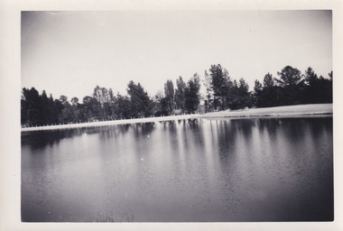 Black and white photograph of a corner of a lake. On the far side of the lake are multiple trees and a row of bollards, the tips of a small section of reeds are visible in the left foreground.  The background trees, bollards, and bank are all reflected on the lake surface, but this reflection is distorted by water ripples.