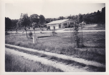 Black and white photograph of camping grounds and building. Dirt road in foreground crosses length of photograph. Grassy campgrounds featuring small trees encased in protective fencing, a barrel drum with the letter ‘B’, and caravan sites with power outlets. Another dirt road runs along a single-story gable roofed white building. Building has four small windows on the length side and two large windows on the width side. Text on the banner hanging on the building is partially visible with the letters ‘RAVAN PARK’. There is a free-standing message board outside the front of the building and a car to the rear right.  Dense trees along background of photograph.