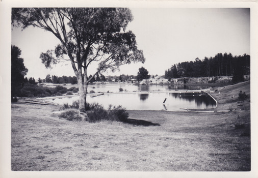 Black and white photograph of a lake and swimming area with surrounding landscape. Large tree in foreground. Grass banks with four bench seats surround a swimming area that is separated from a larger body of water. Inside the swimming area is a slide and ladder in shallow water, and a fenced area with a pontoon diving platform. The opposite side of the lake is much closer on the right side with a steep bank lined with dense trees. The opposite side of the lake on the left side of the photograph is much further away with a less steep bank and is also lined with multiple trees. 
