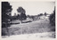 Black and white photograph of caravan park. Sand or dirt bank in foreground. Grass area with a dirt road and caravan sites in middle-ground. Caravan sites have place markers and electricity outlet posts. Trees of varying size throughout the photograph and some are enclosed in protective fencing. Two caravans and a car are visible on the far side of grounds although partially covered by trees. White one-story gable roofed building with six small windows on upper right side. 