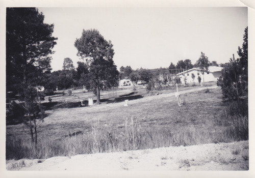 Black and white photograph of caravan park. Sand or dirt bank in foreground. Grass area with a dirt road and caravan sites in middle-ground. Caravan sites have place markers and electricity outlet posts. Trees of varying size throughout the photograph and some are enclosed in protective fencing. Two caravans and a car are visible on the far side of grounds although partially covered by trees. White one-story gable roofed building with six small windows on upper right side. 