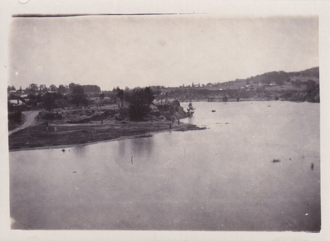 Photograph of shoreline and road around Lake Sambell, taken from the water