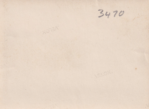 Reverse of photograph of shore and road at Lake Sambell, taken from the water. 