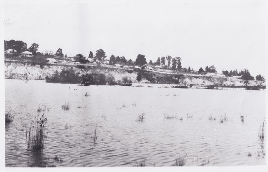 Photograph of Lake Sambell from the water, looking towards houses around the lake edge. 