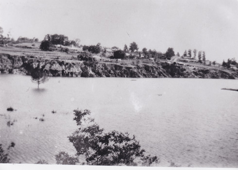 Photograph of Lake Sambell taken from the water, looking towards the lake edge. 
