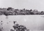 Photograph of Lake Sambell, taken from the water, looking towards the lake edge