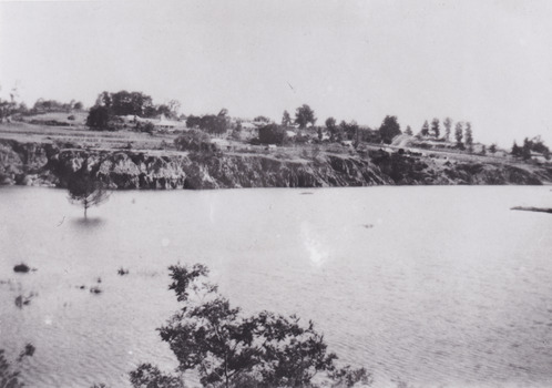 Photograph of Lake Sambell, taken from the water, looking towards the lake edge