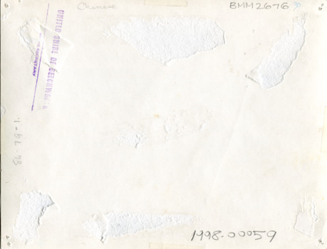 Back of photograph blank with identifiers and 'Chinese' handwritten in pencil. In the top left corner is an ink stamp of 'United Shire of Beechworth / shire secretary'