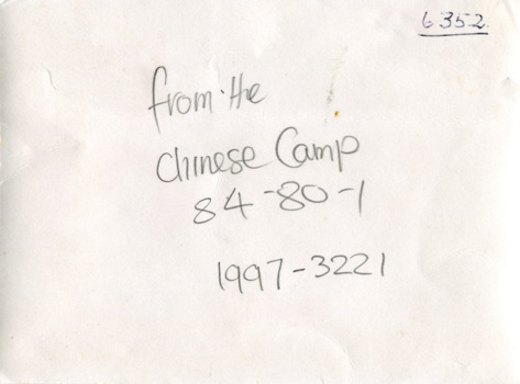 "From the Chinese Camp"