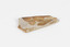 Piece of light brown rock with pieces of fossilised leaves in shades of yellow and brown.