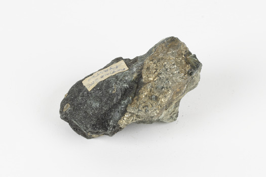 A small-medium-sized solid specimen containing two minerals with shades of black/grey, and brassy gold