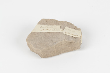 A hand-sized slice beige or light brown solid sandstone