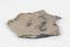 Piece of dark gray/dark brown rock with shades of light brown and fossilised leaves