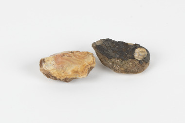 Two egg-sized solid mineral specimens displaying light and dark brown matrix and peach/orange toned agate. 