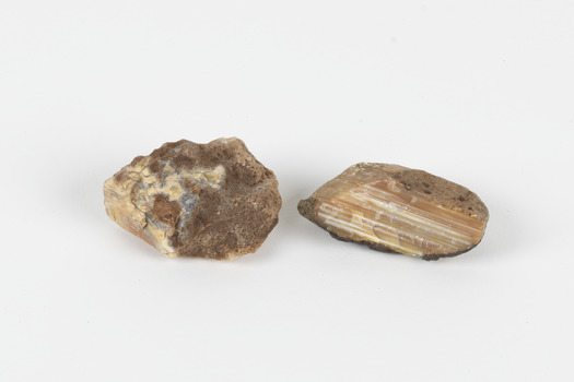 Two egg-sized solid mineral specimens displaying light and dark brown matrix and peach/orange toned agate. 
