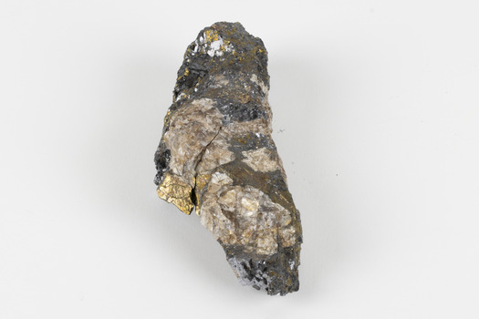 Hand-length specimen of black, brown, gold and beige mineral forming a jagged pipe shape. 