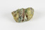 A solid mineral specimen in shades of yellow and gray-green. 
