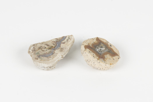 Two small solid specimens with pale, sandy-coloured exteriors. Each specimen has its own unique internal pattern with different colours and arrangements.