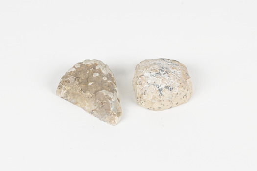 Two small solid specimens with pale, sandy-coloured exteriors. Each specimen has its own unique internal pattern with different colours and arrangements.
