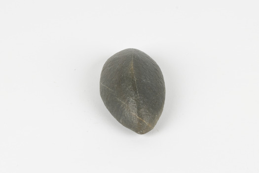 A hand-sized solid mineral specimen in shades of dark and light browns
