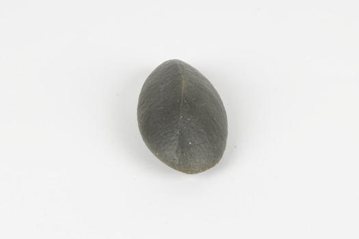 A hand-sized solid mineral specimen in shades of dark and light browns