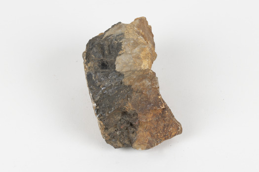 A fist-sized solid geological specimen. Each half is made of a different material, one side is cream and orange/brown coloured, the other side is dark grey