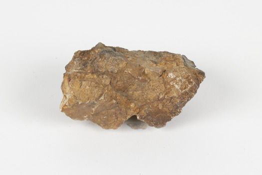 A fist-sized solid geological specimen. Each half is made of a different material, one side is cream and orange/brown coloured, the other side is dark grey