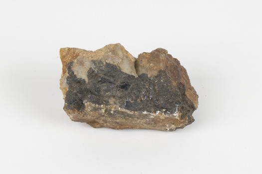 A fist-sized solid geological specimen. Each half is made of a different material, one side is cream and orange/brown coloured, the other side is dark grey