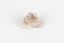 A palm-sized solid mineral specimen in shades of beige and light orange