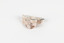 A palm-sized solid mineral specimen in shades of beige and light orange