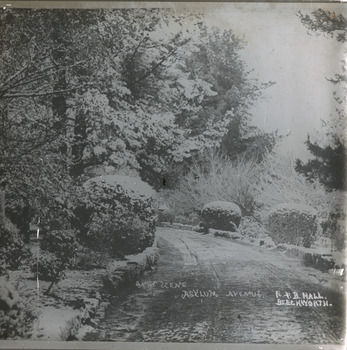 A monochrome aquare photograph featuring a driveway lined with elevated well maintained bushes, trees and other forms of shrubbery 