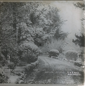 A monochrome aquare photograph featuring a driveway lined with elevated well maintained bushes, trees and other forms of shrubbery 