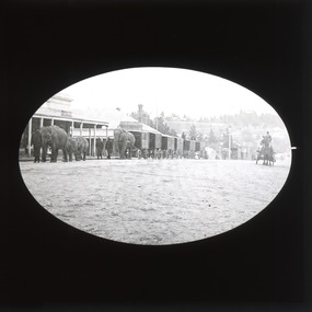 A monochrome photograph within a square frame featuring an image of a group of circus elephants being marched through a main street.