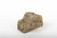 A small textured caramel-coloured rock with brown marbling. 