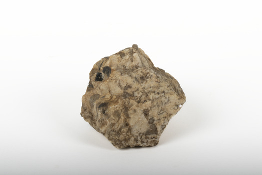 A small textured caramel-coloured rock with brown marbling in the shape of a hexagon. Two deep-brown patches visible on the top left.