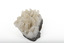 Mineral with a stone coloured base with white crystal like structures erupting from the base in erratic upwards directions.