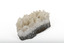 Mineral with a stone coloured base with white crystal like structures erupting from the base in erratic upwards directions.