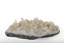 Mineral with a stone coloured base with white crystal like structures erupting from the base in erratic upwards directions.
