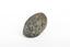 A solid rock specimen with a mineral vein in shades of brown 