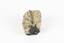 A hand-sized solid mineral specimen in shades of brown, green, light grey and dark grey