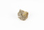 A small lead carbon specimen in shades of white, cream and brown. 