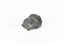 Palm-sized mineral of primarily grey colour, small red gemstones visible, green patches.