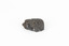 Coin-sized solid mineral specimen in sades of black with black shiny points.
