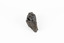 Coin-sized solid mineral in shades of black and red with black shiny points.