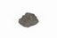 Coin-sized solid mineral in sades of black and red with black shiny points. 