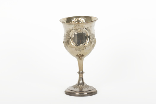 A silver trophy with a protruding circular design on the cup of the trophy. In the centre of the design is a section of writing.