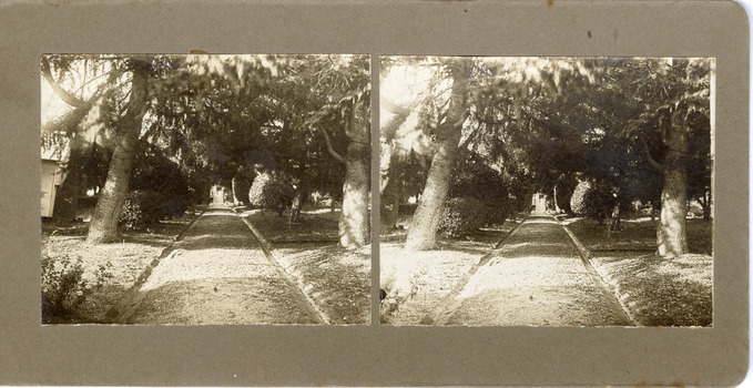 A stereoscopic photograph mounted on card depicting a straight path in the centre of the landscape leading towards a building. Trees and shrubs with leafy foliage line both sides of the path and provide shade. 